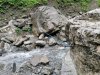 IMG_20210829_144239