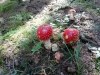 IMG_20200908_155317