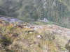 img26