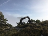 karwendel027