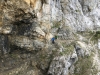 karwendel045