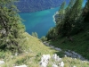 03141723_watz