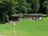 04140454_watz