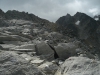 cimg0208